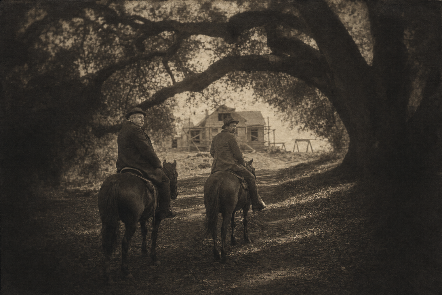 The silence under the oaks