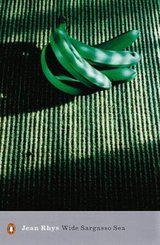 Wide Sargasso Sea — Angela Smith (Penguin Modern Classics)