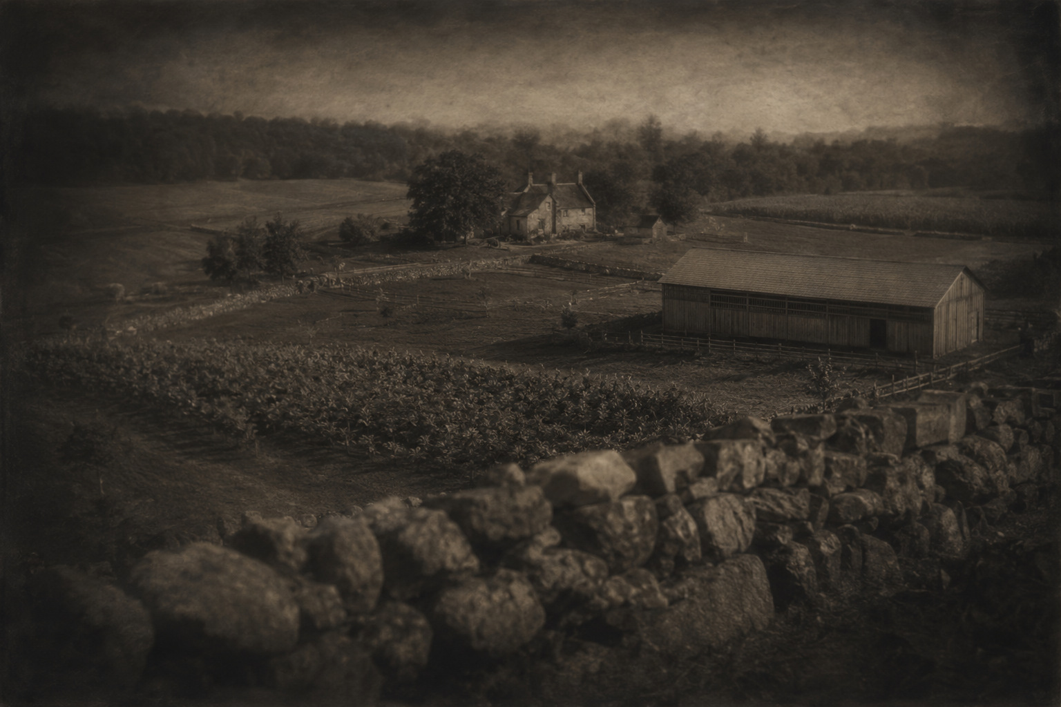 The good farm