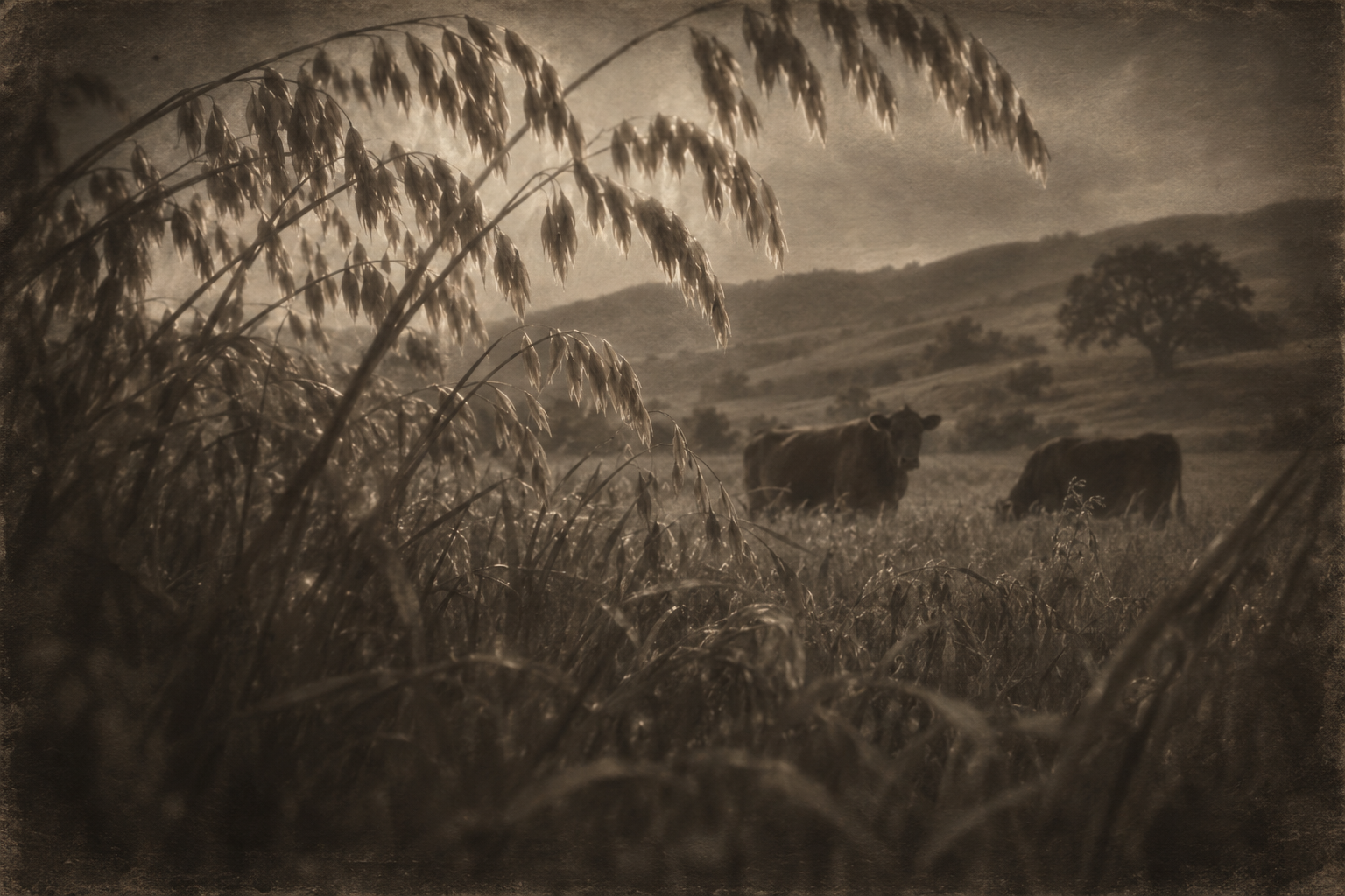 The heads hung over