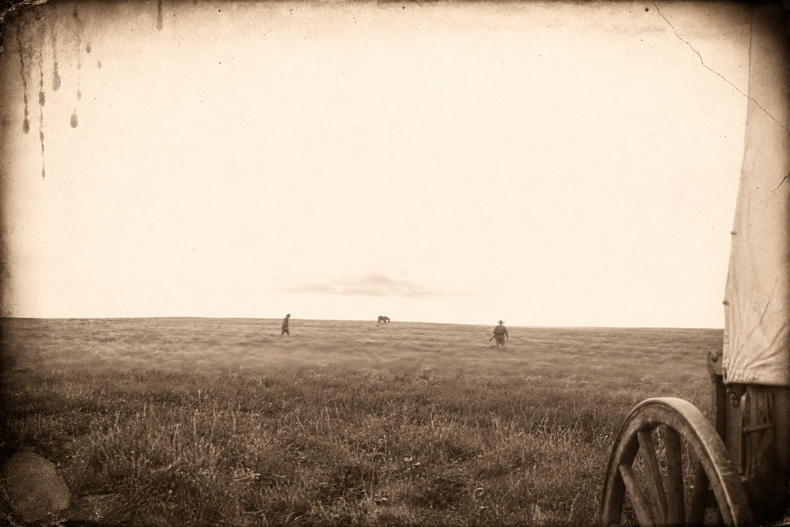 Seen from camp, Newt and the new cook two hundred yards out, walking in circles in the grass as if looking for lost objects, the donkey trailing far behind.
