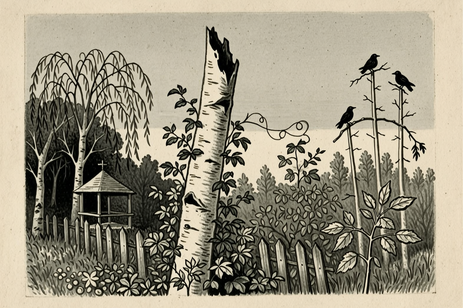 The broken birch in the garden