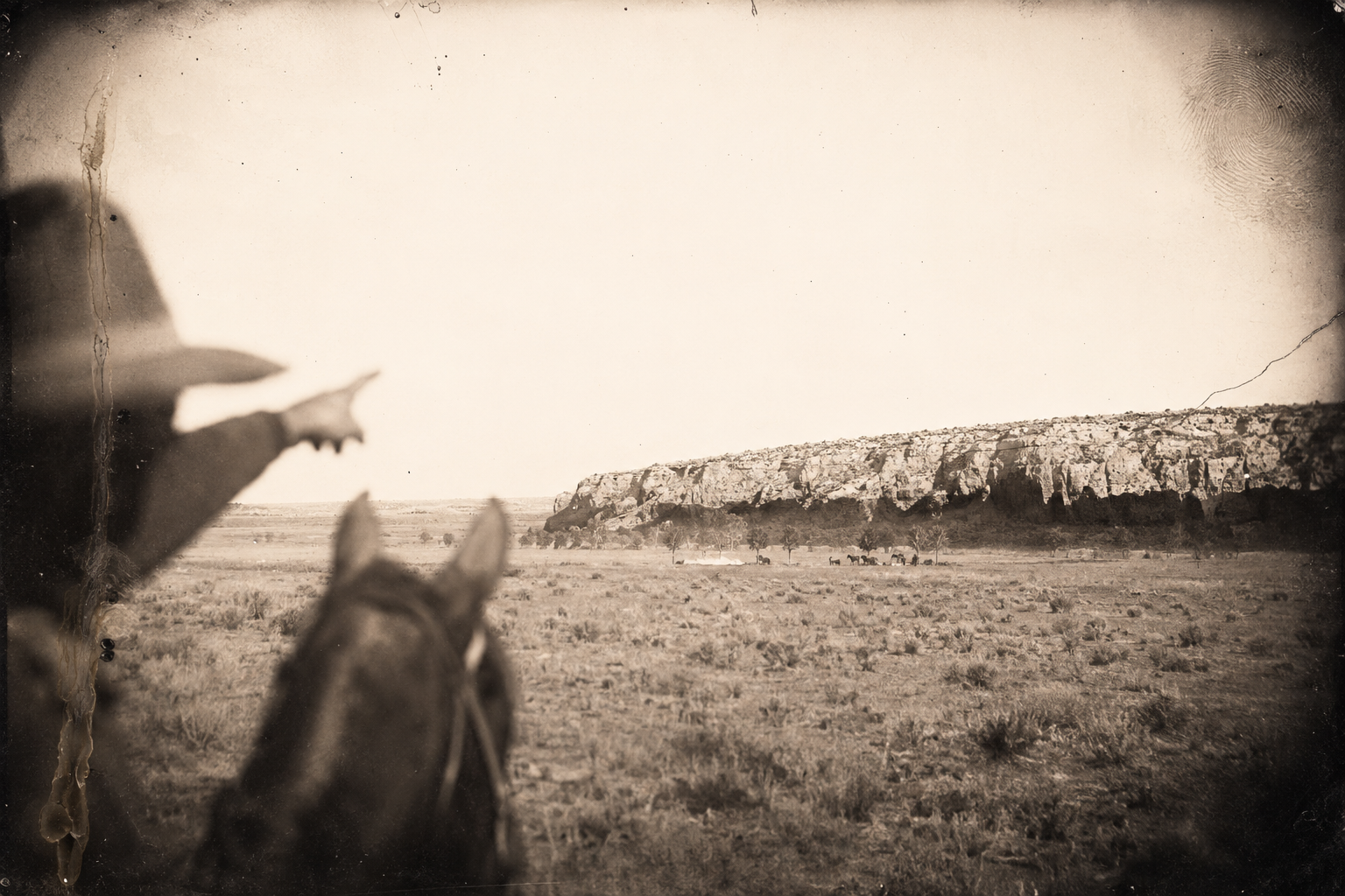 Three miles from the grove they spot a little camp at the foot of a limestone bluff; Call can make out only the horses and the pack mule, but Augustus says at once that it is Lorie, resting by a tree.
